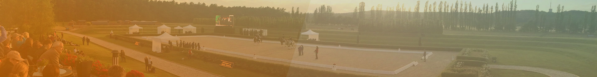 reitsport-header-02